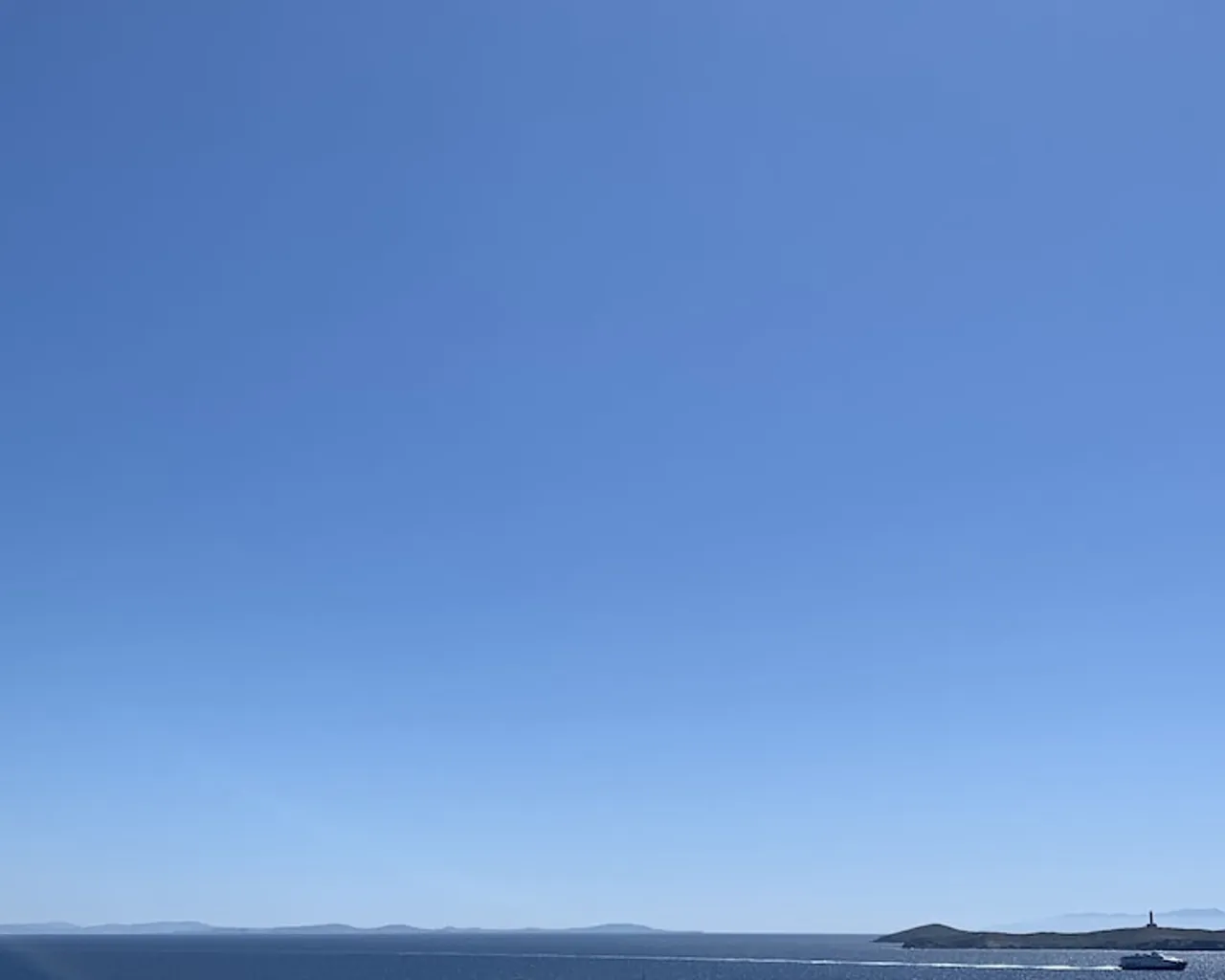 기본 이미지