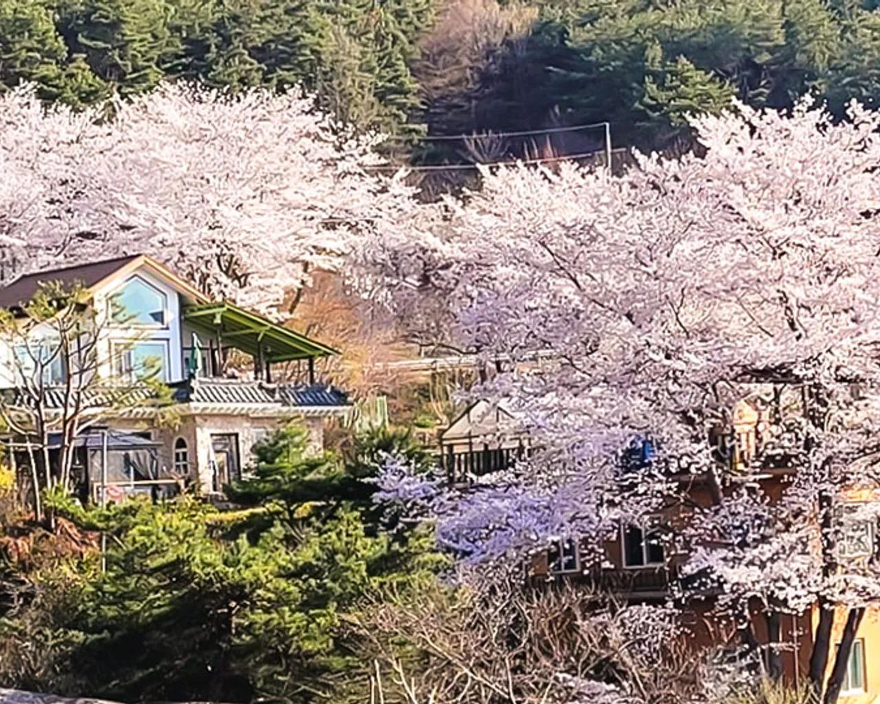 대표 사진
