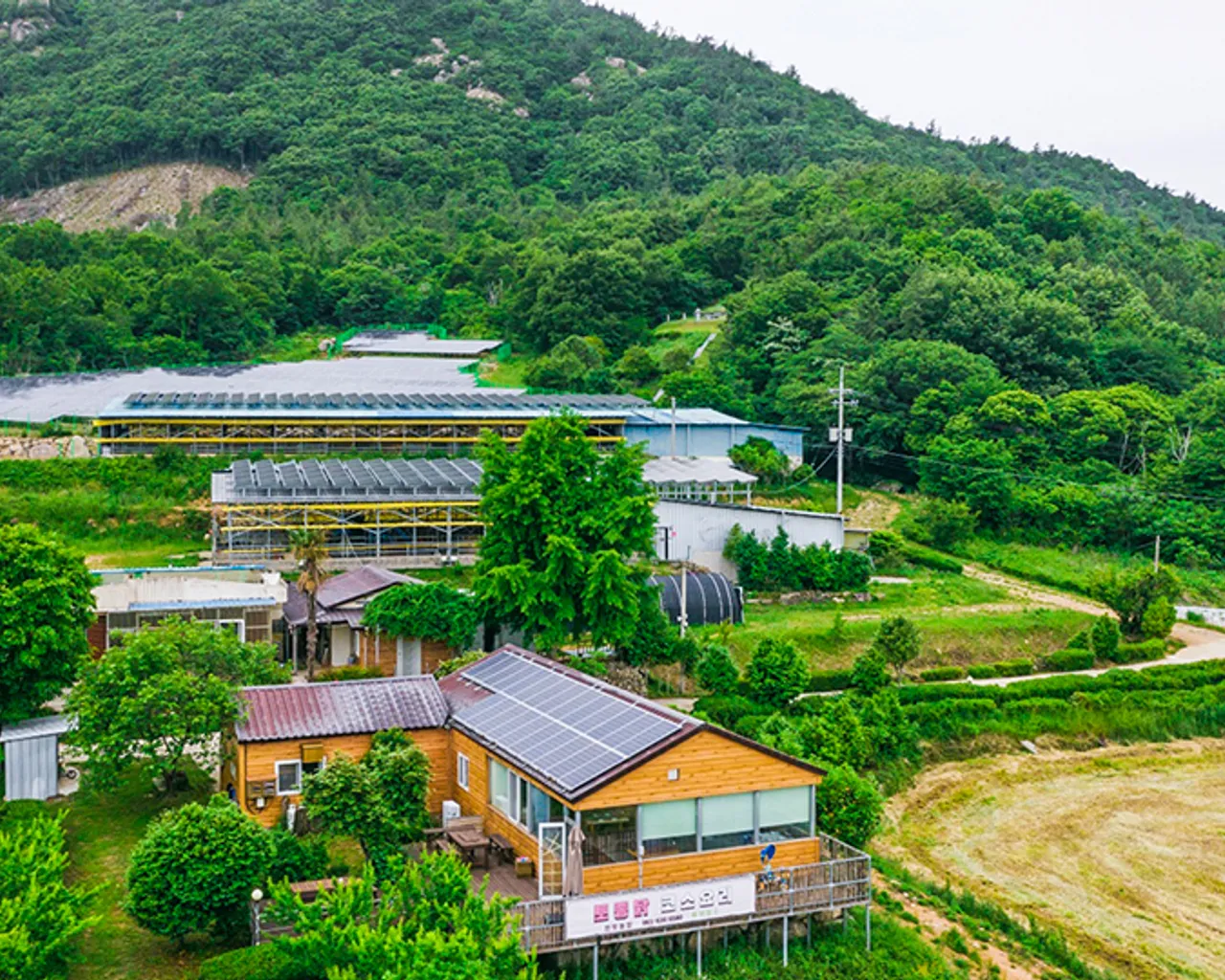 대표 사진