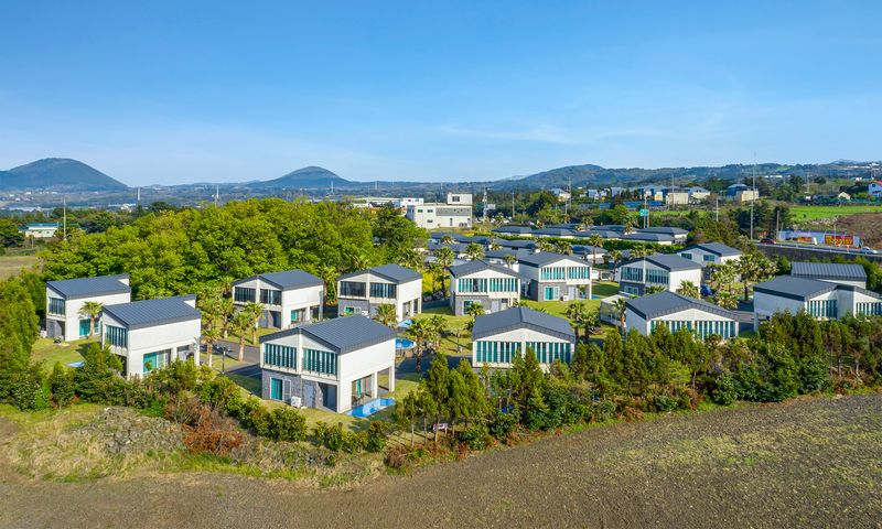 대표사진