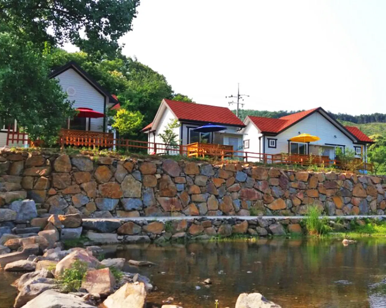 대표 사진