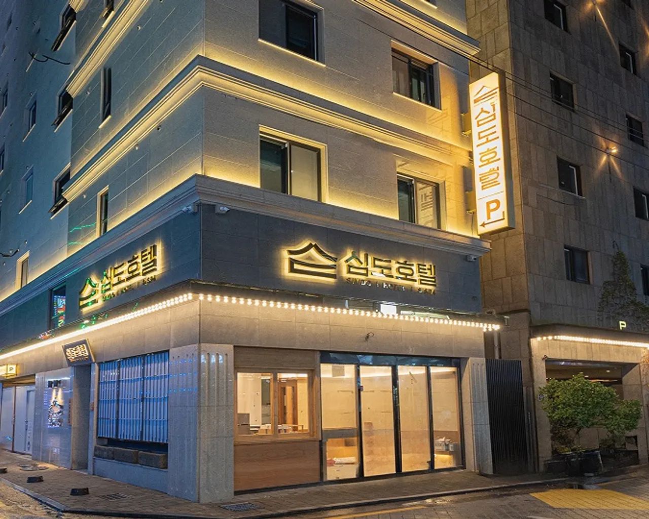 대표 사진