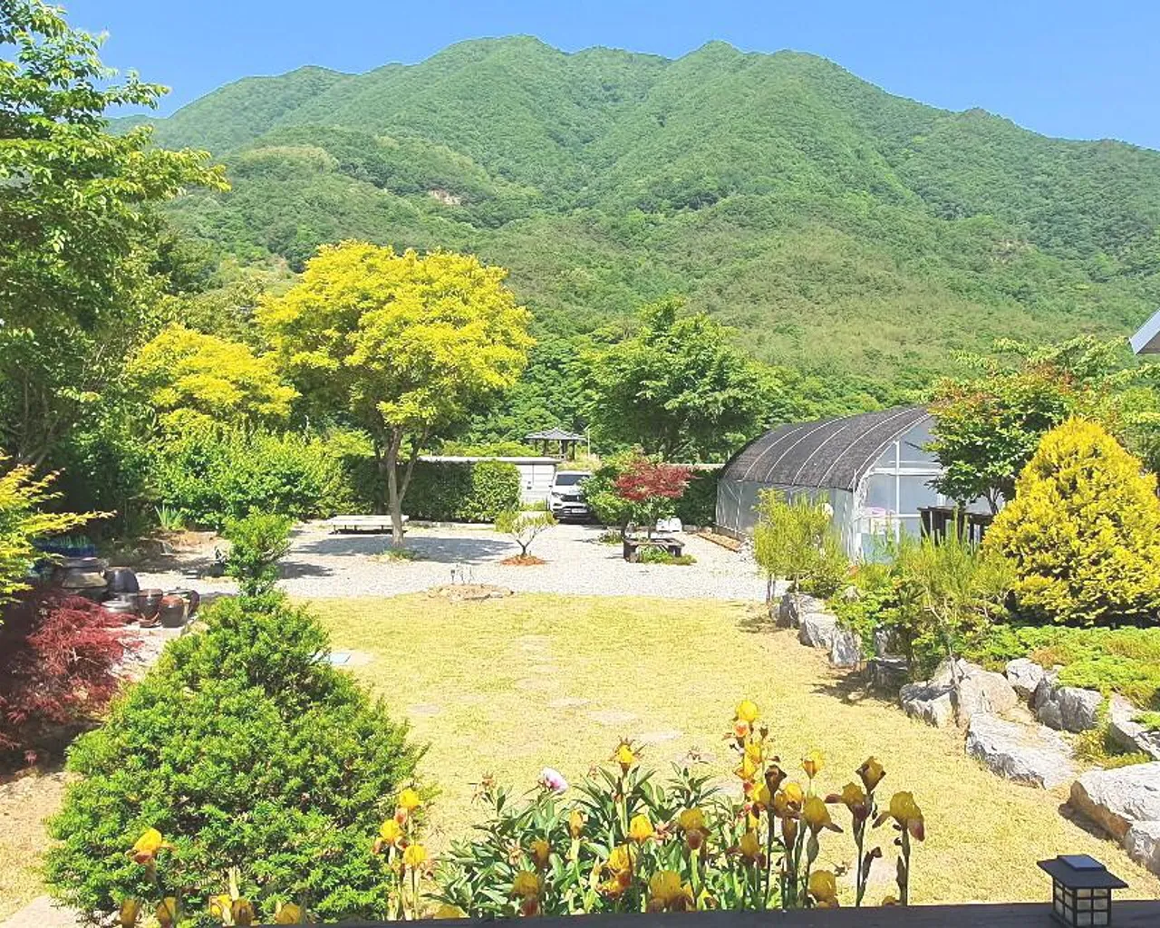 대표 사진