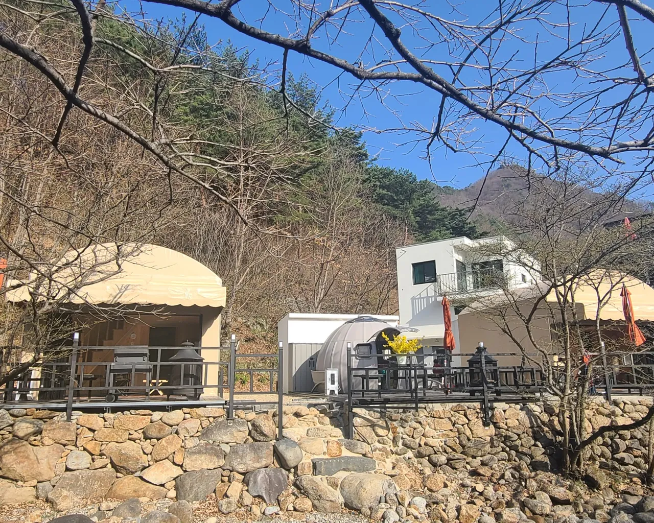 대표 사진