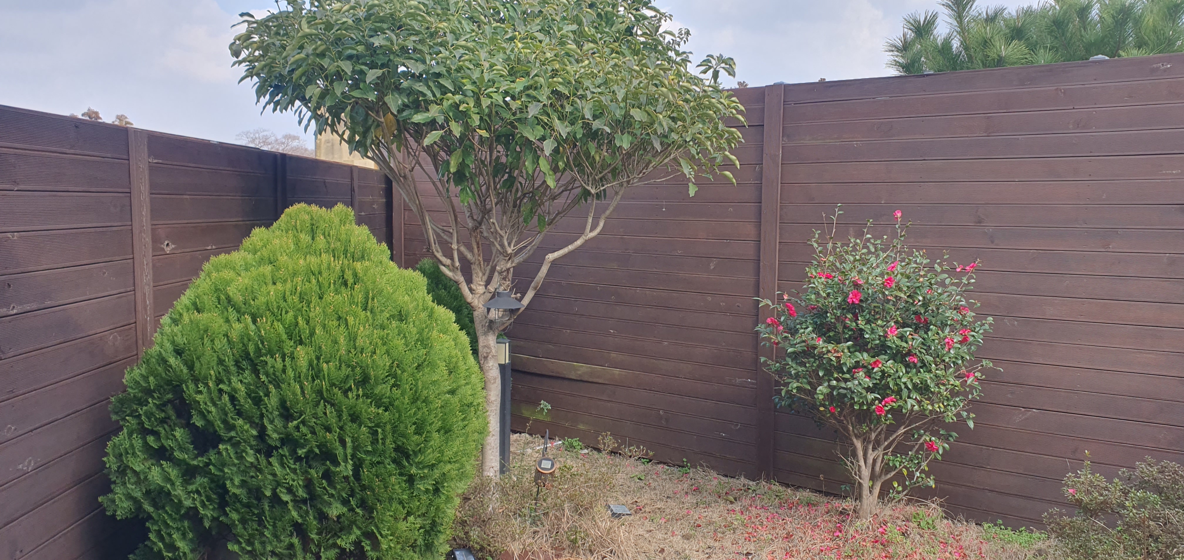 제주 엔젤풀빌라 2