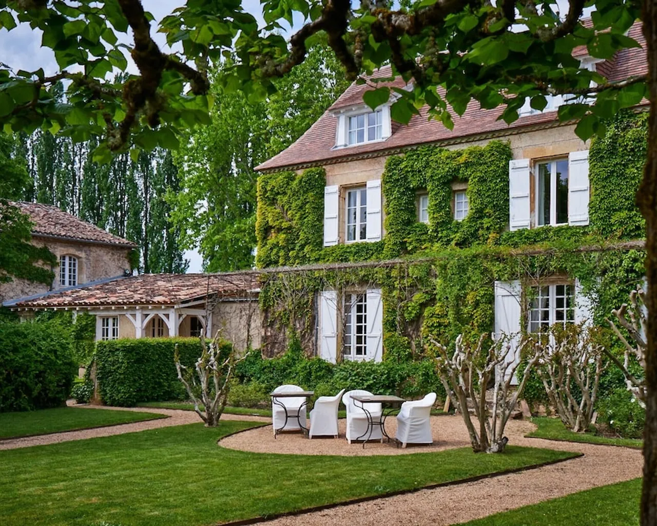 기본 이미지
