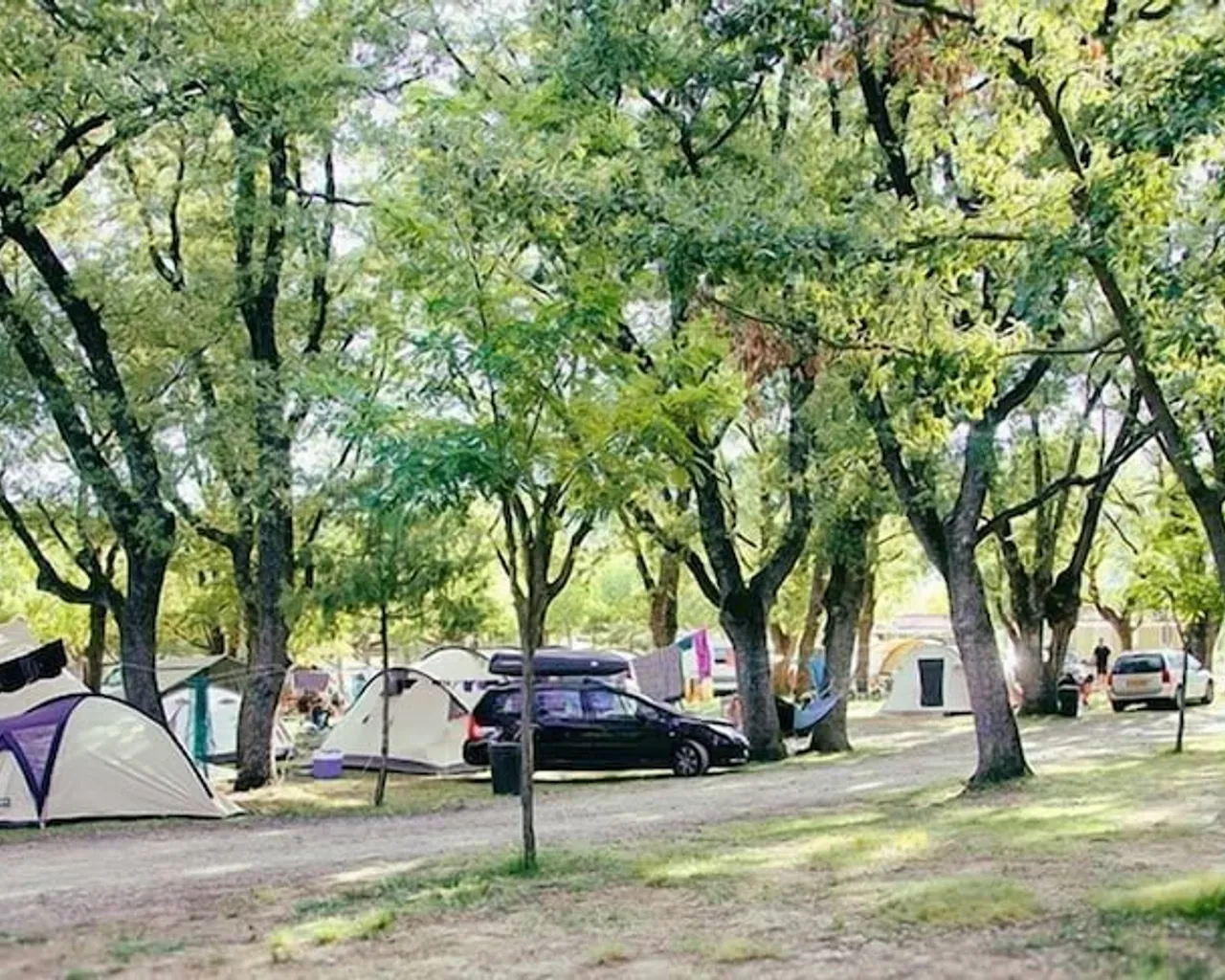 기본 이미지