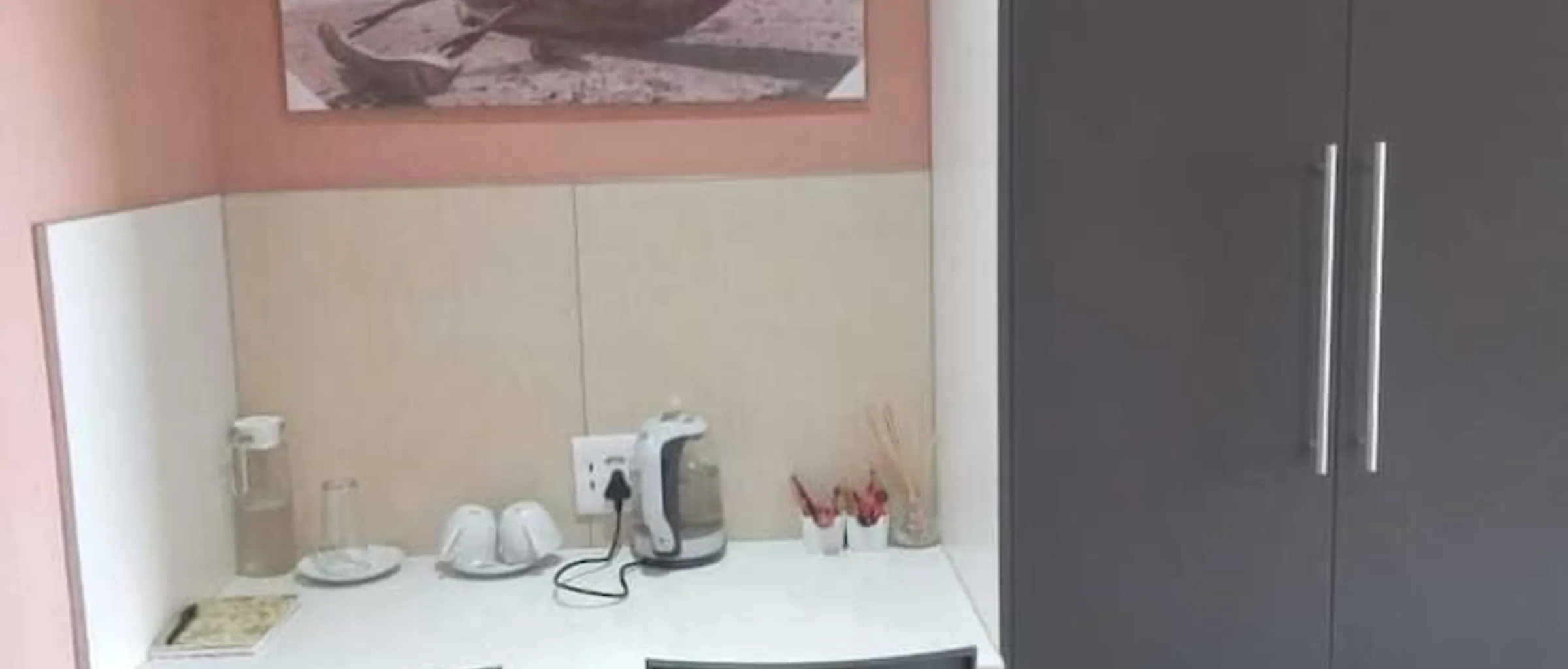 기본 이미지
