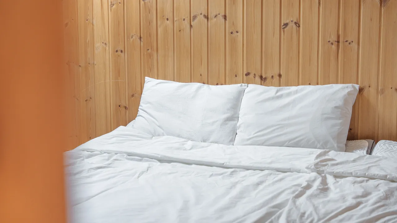 루루키즈펜션 사진