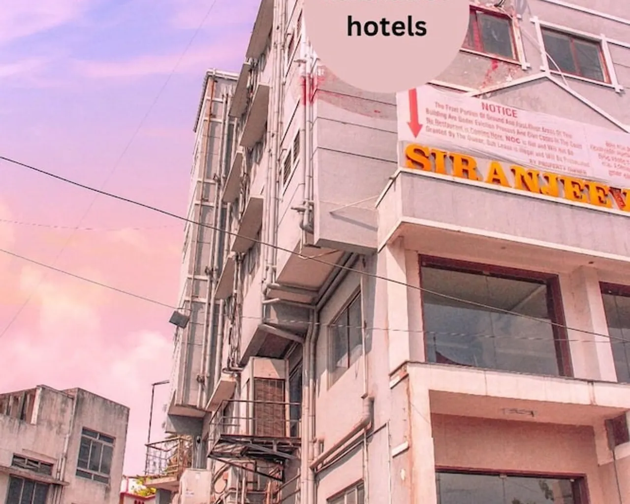 기본 이미지
