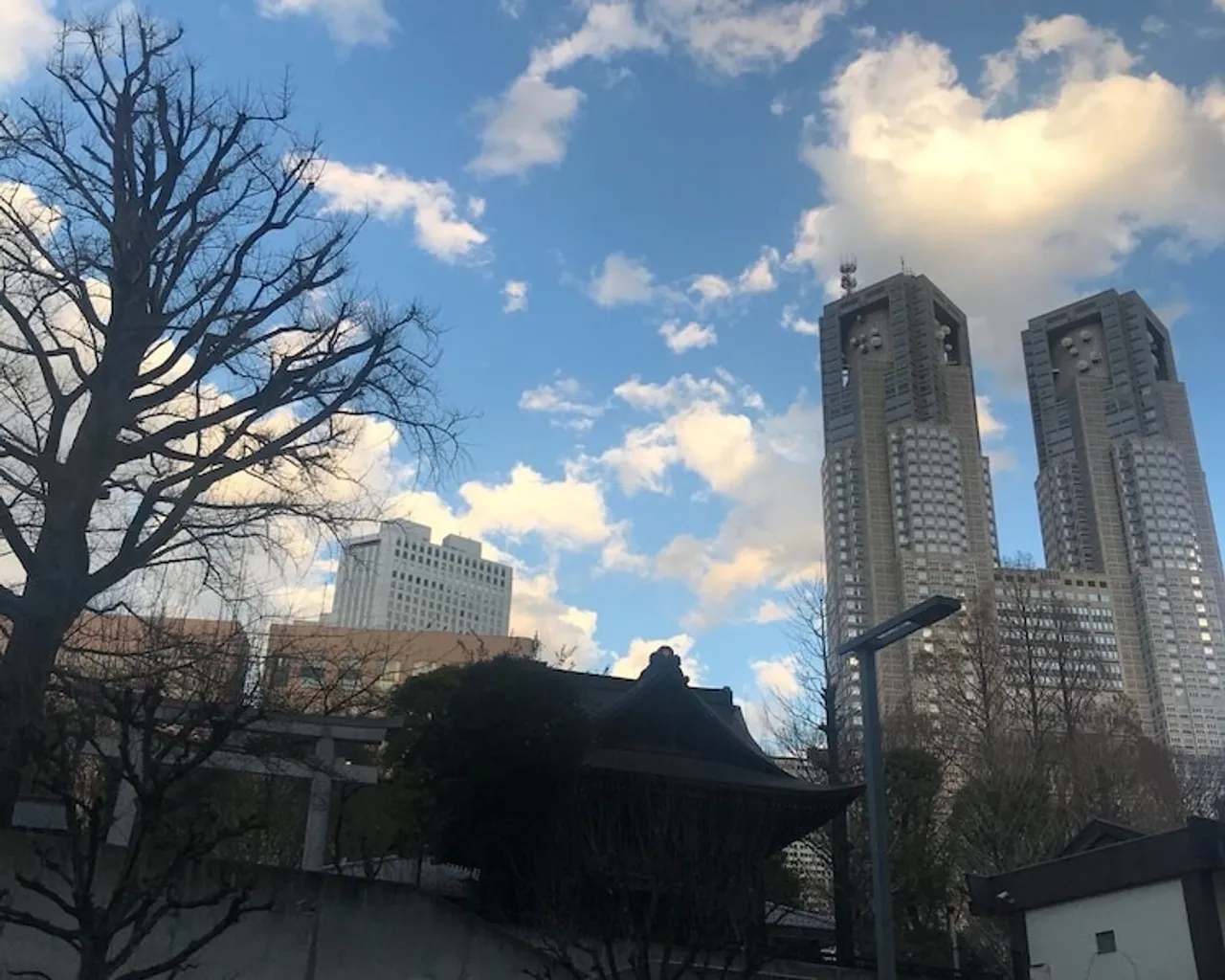 기본 이미지