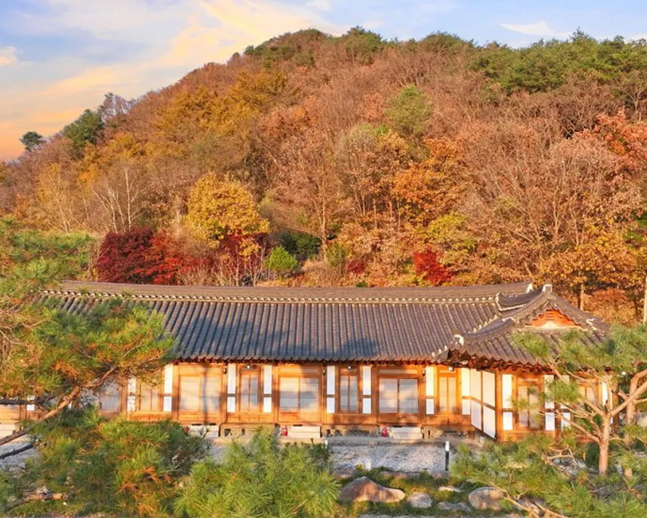 대표 사진