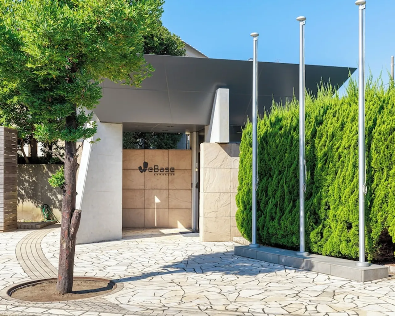 기본 이미지