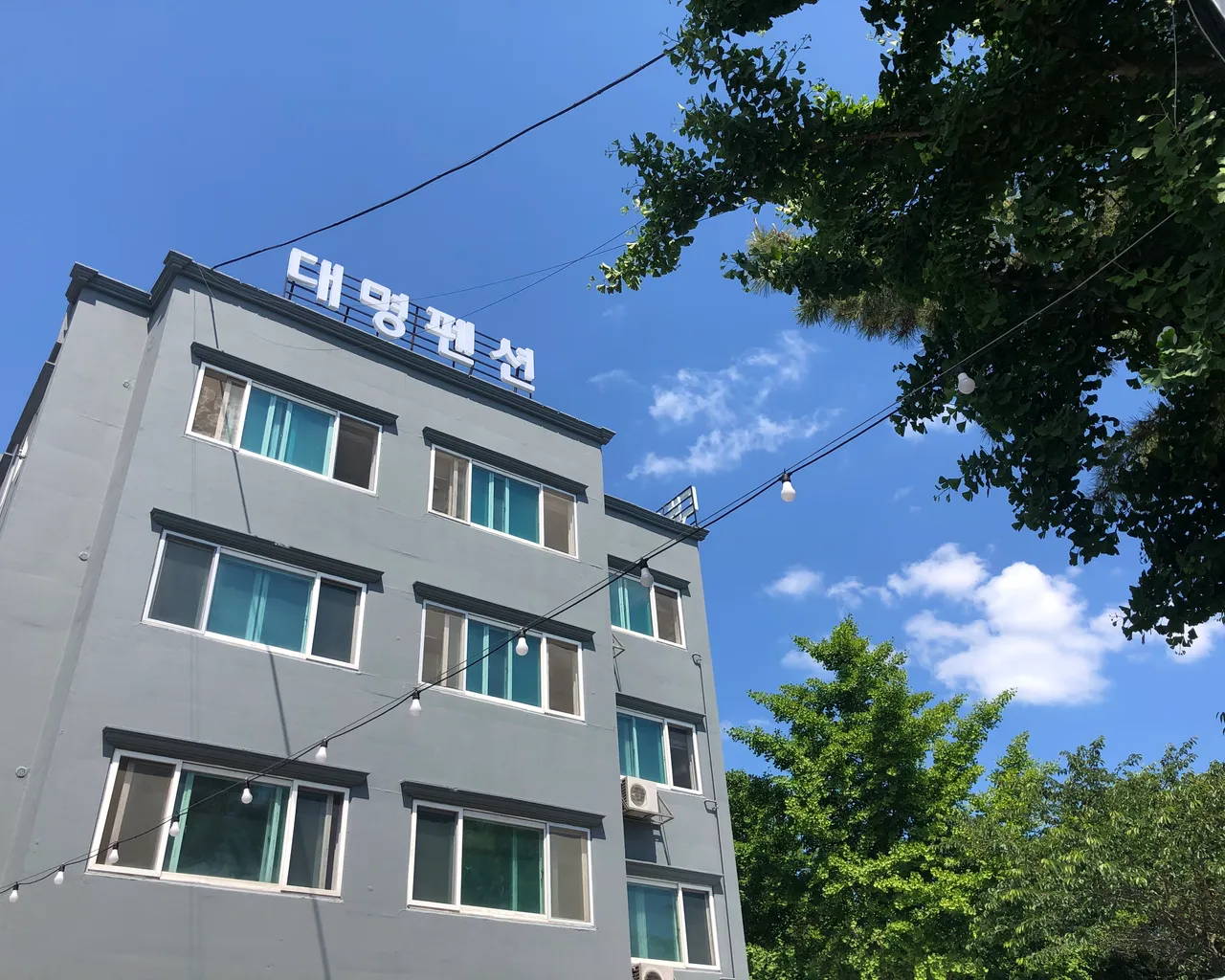 대표 사진