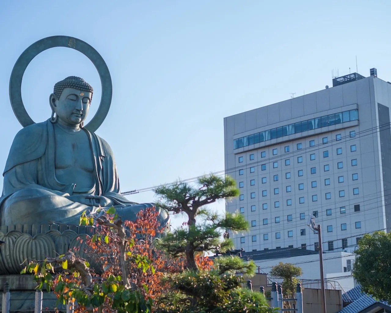 기본 이미지