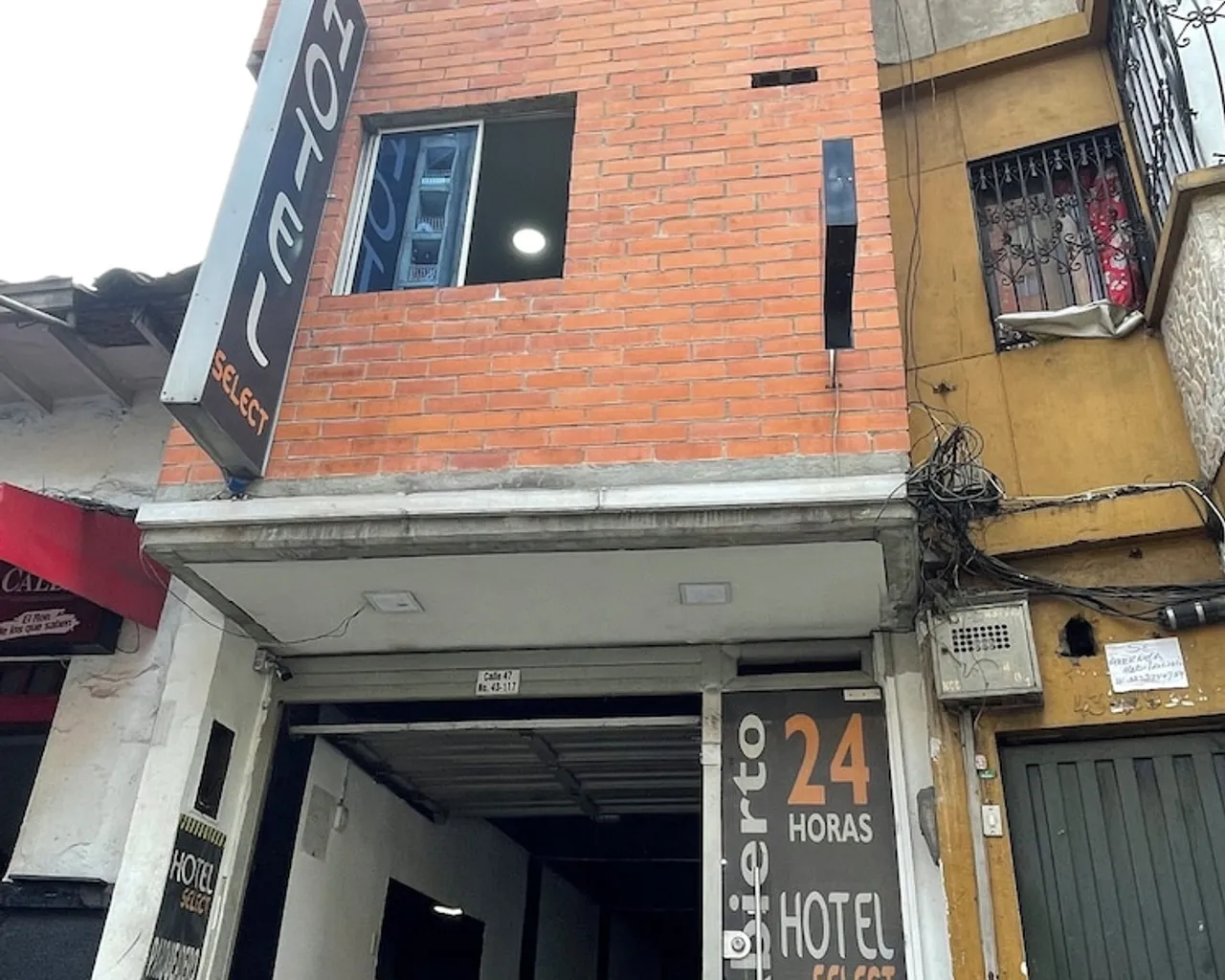 기본 이미지
