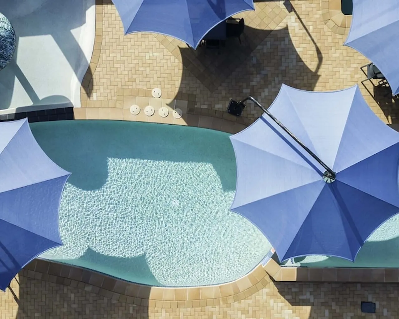 기본 이미지