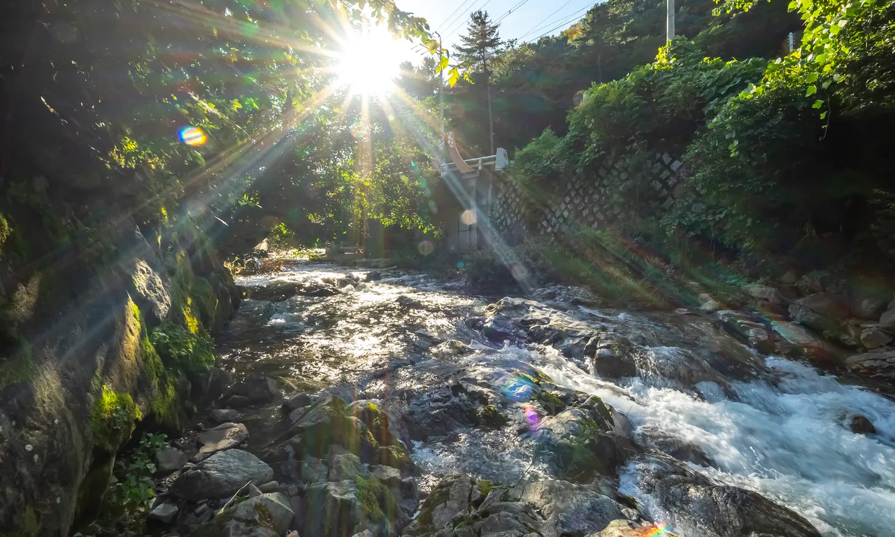 더626키즈풀빌라 사진