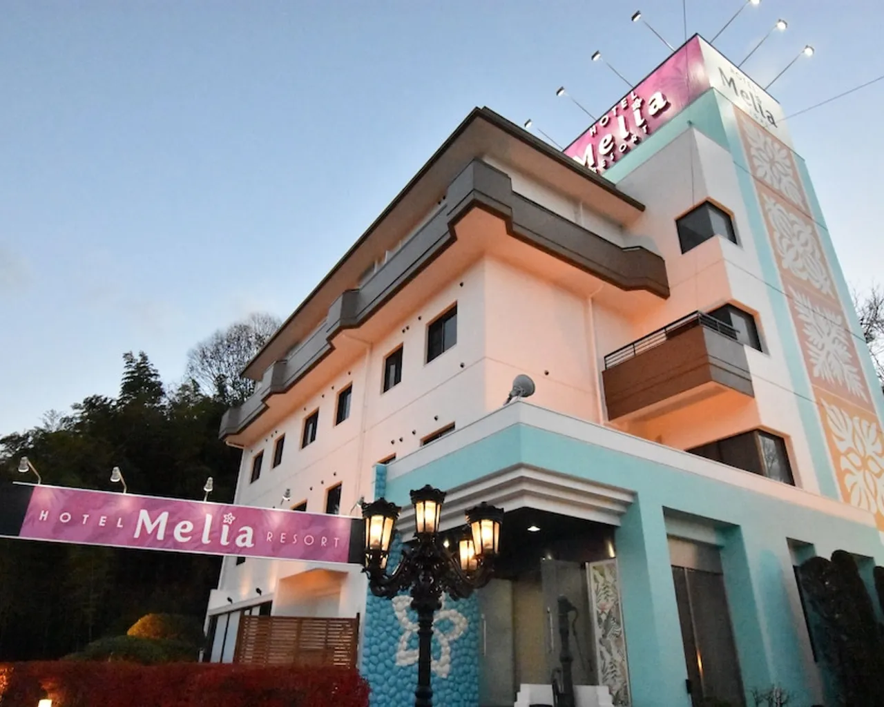 기본 이미지