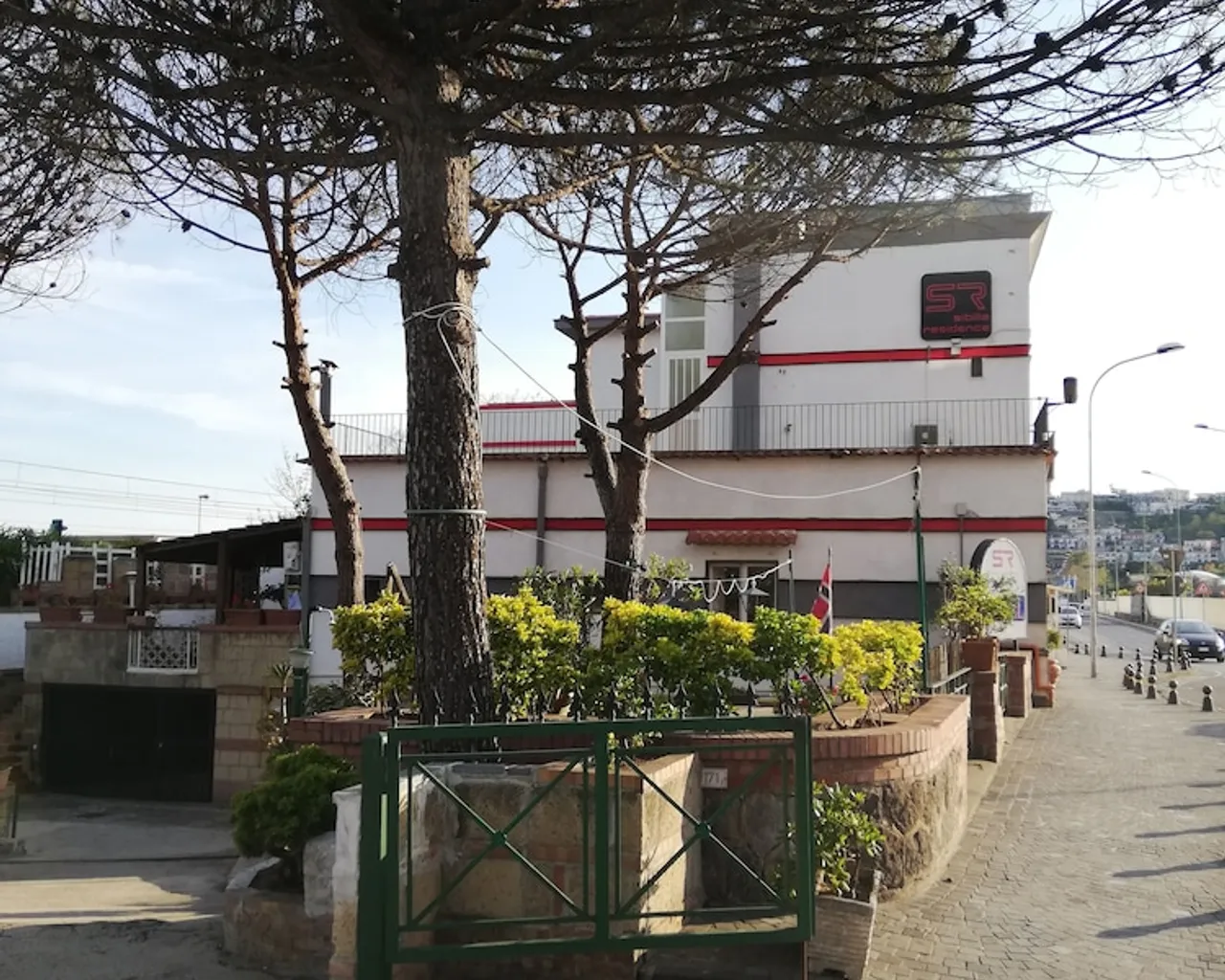 기본 이미지