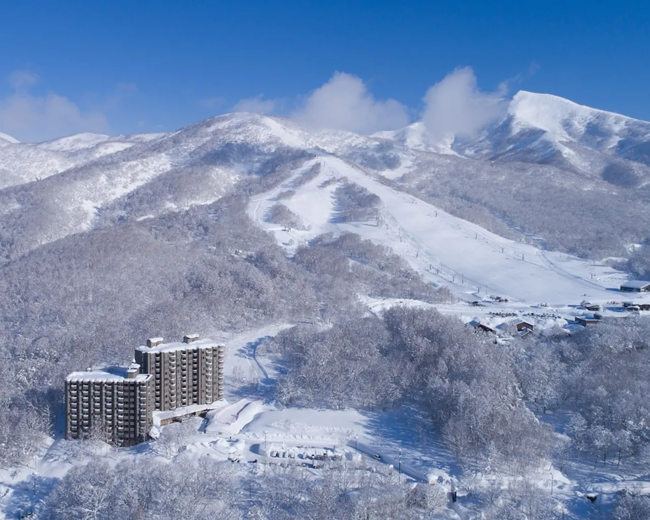 기본 이미지