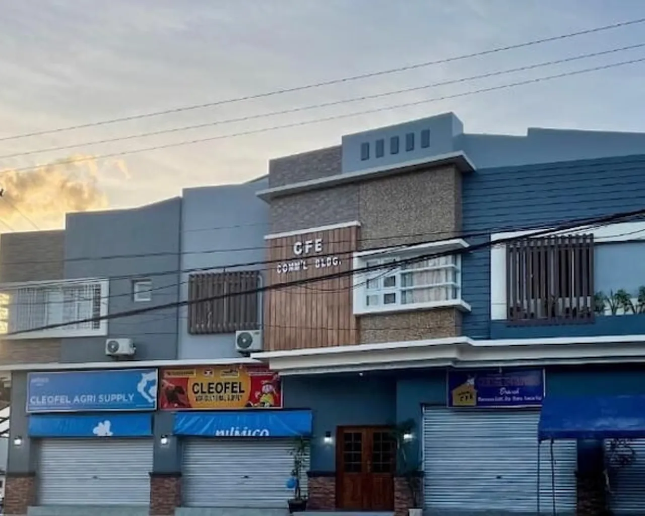 기본 이미지