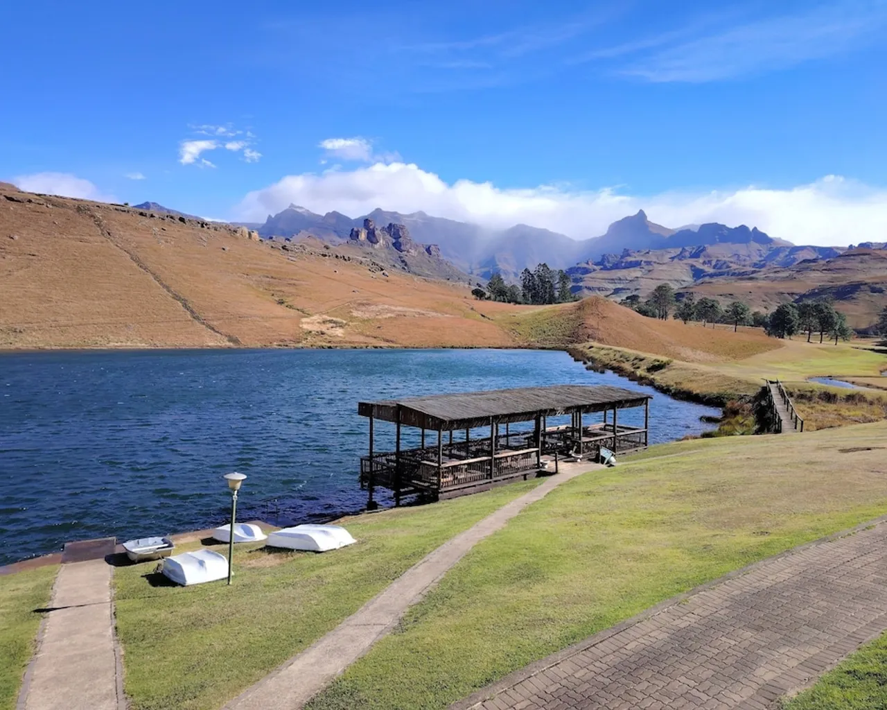 기본 이미지