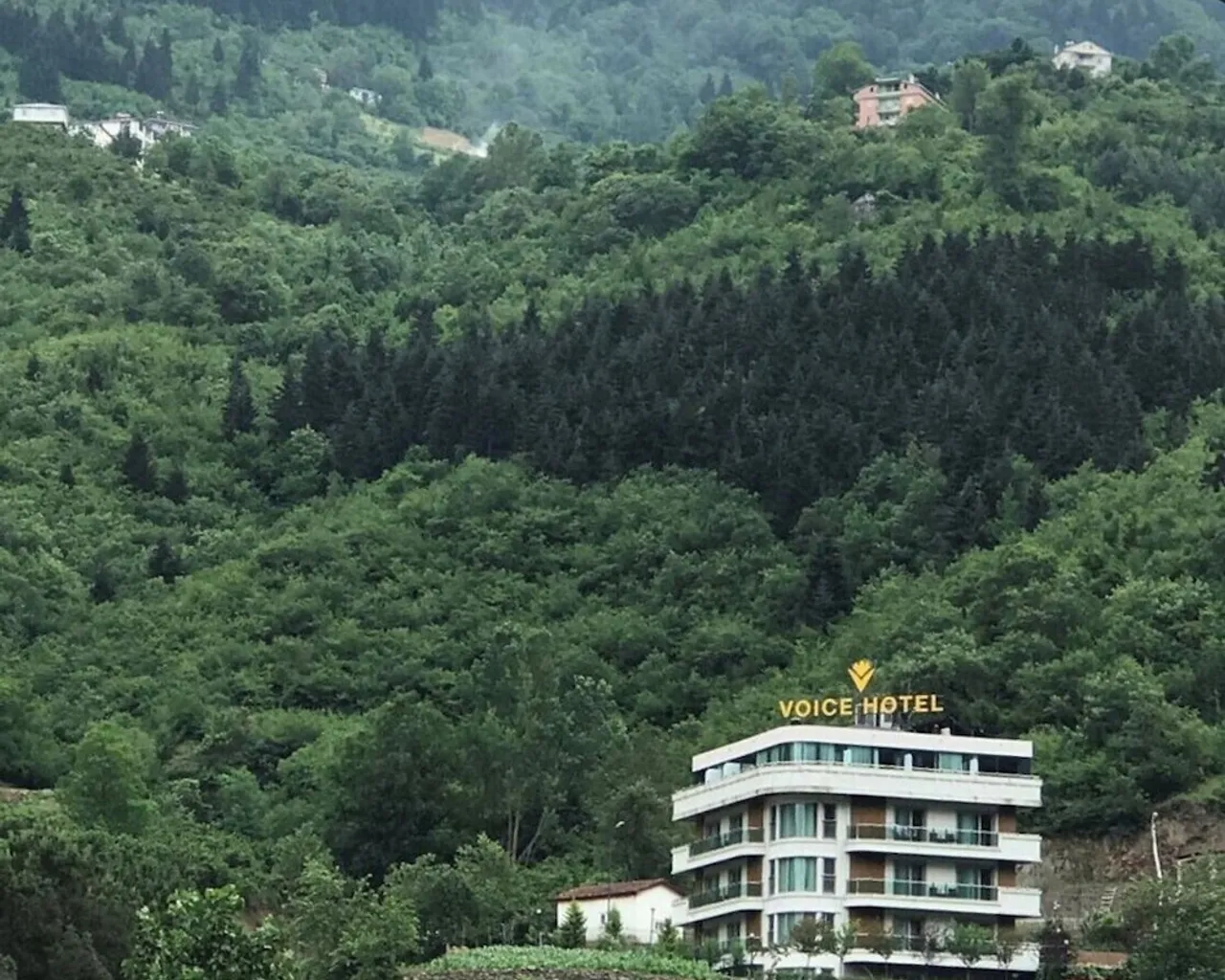 기본 이미지