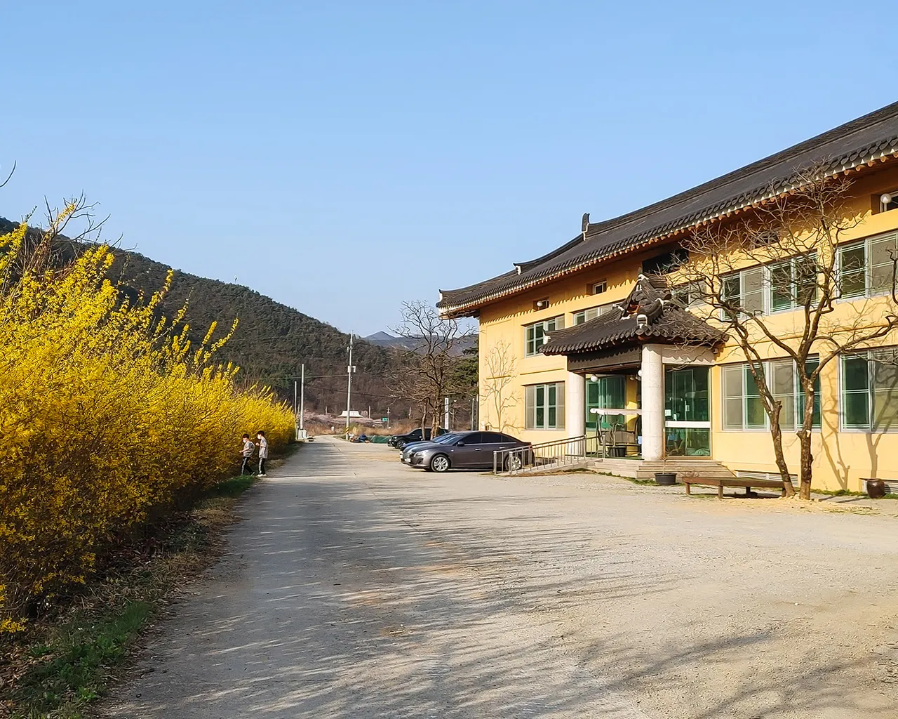 대표 사진