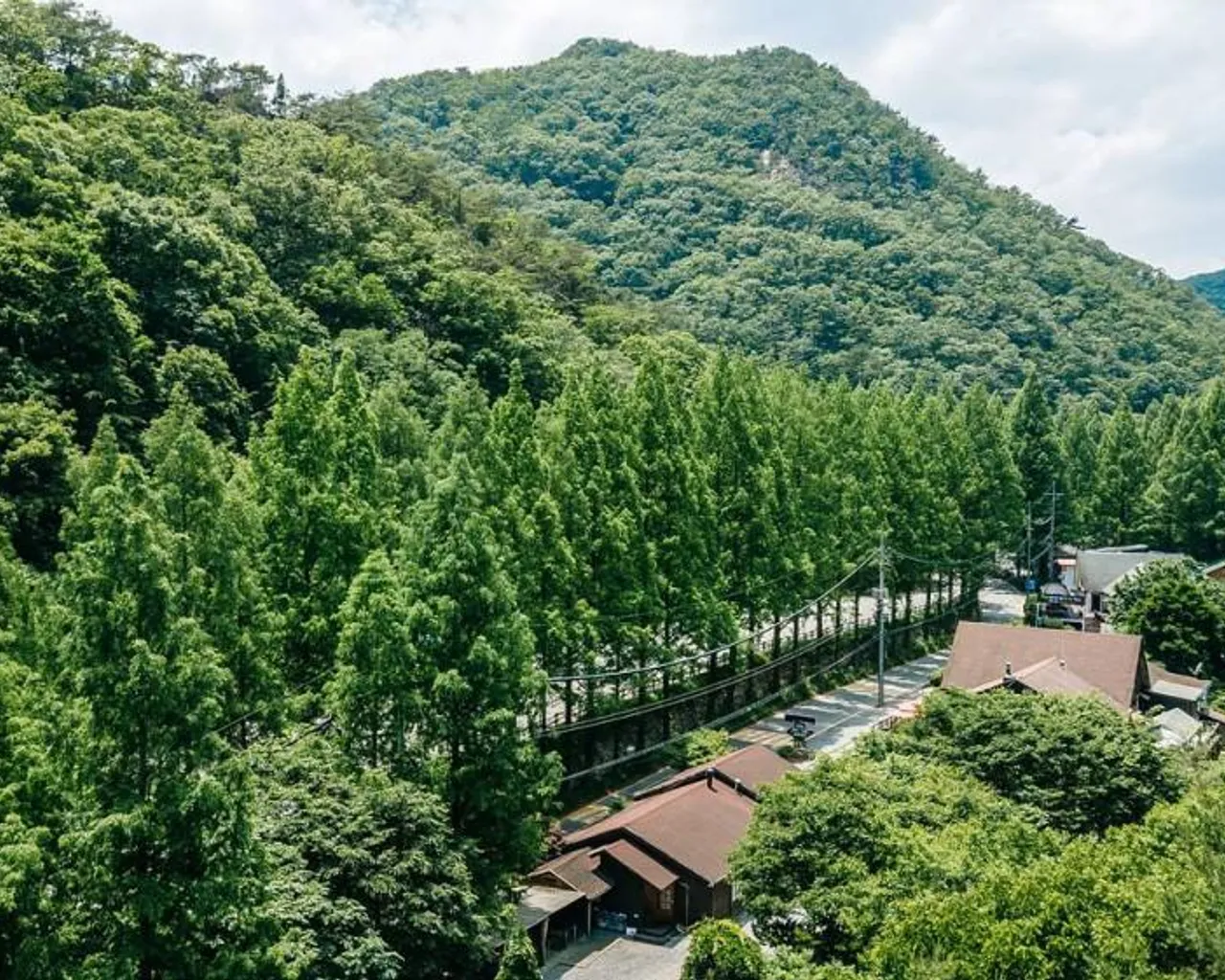 대표 사진