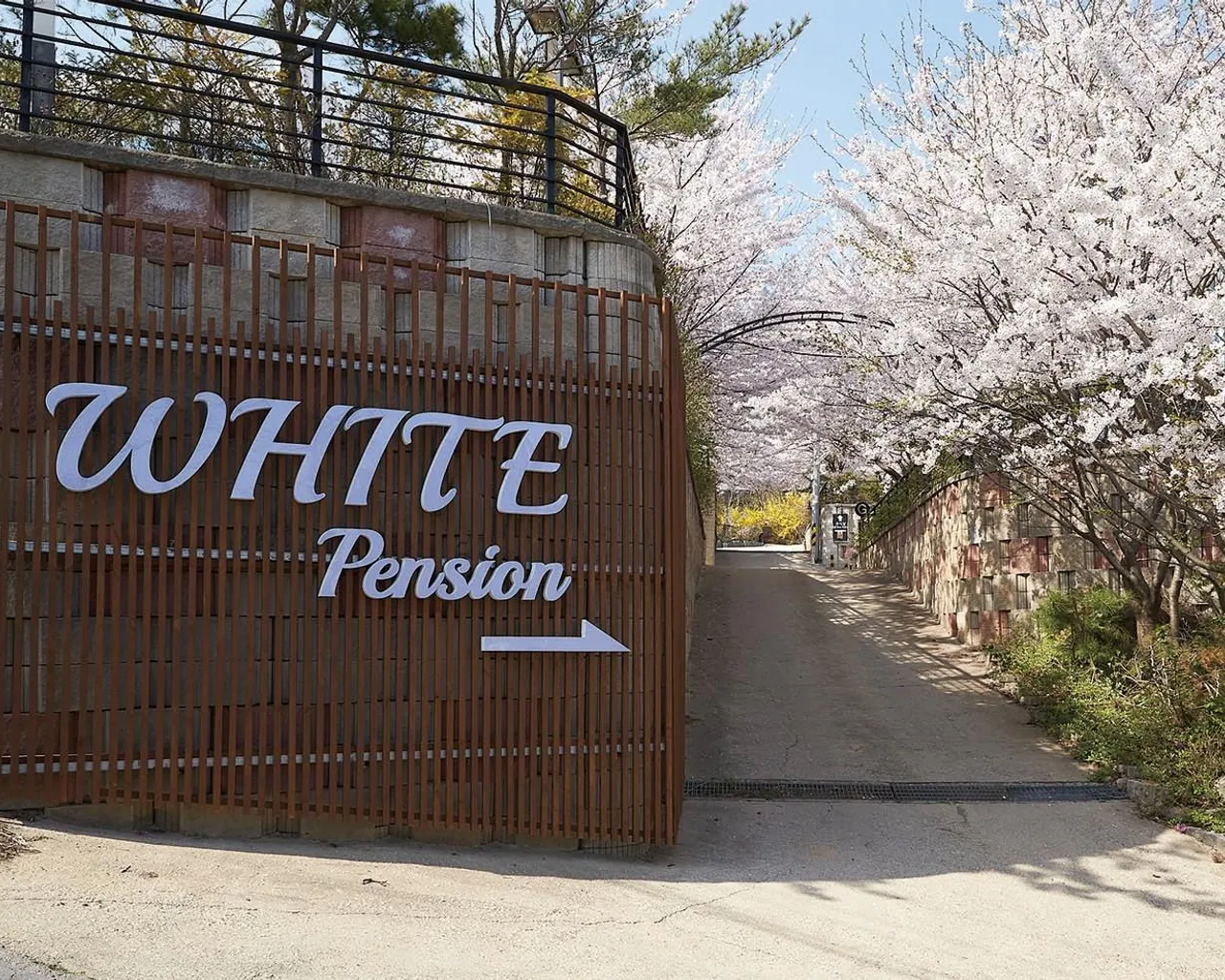 대표 사진