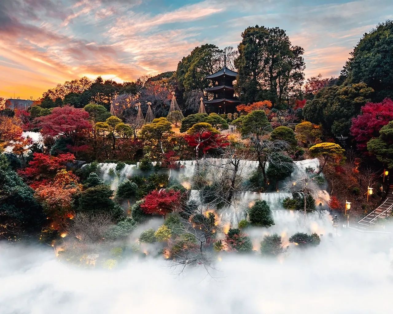 기본 이미지