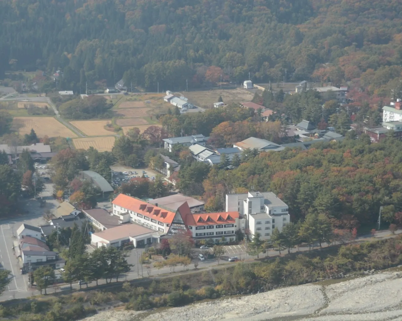기본 이미지