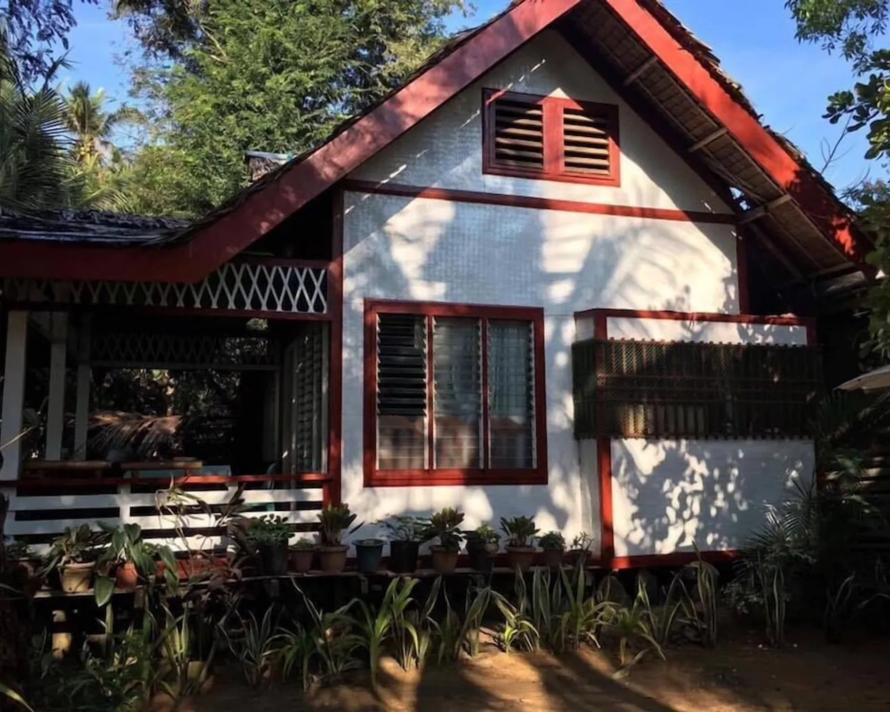 기본 이미지