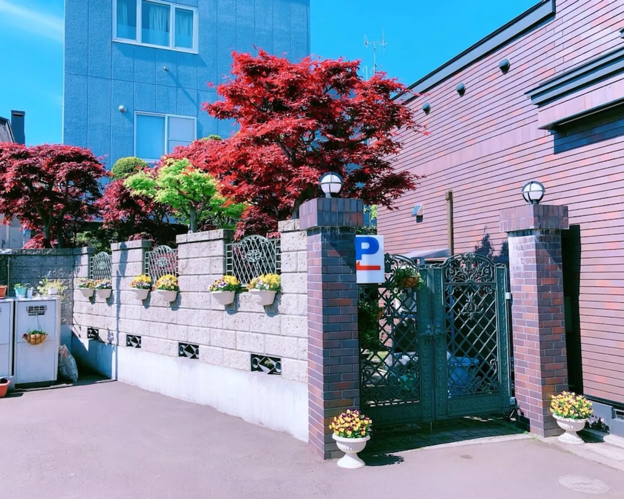 기본 이미지
