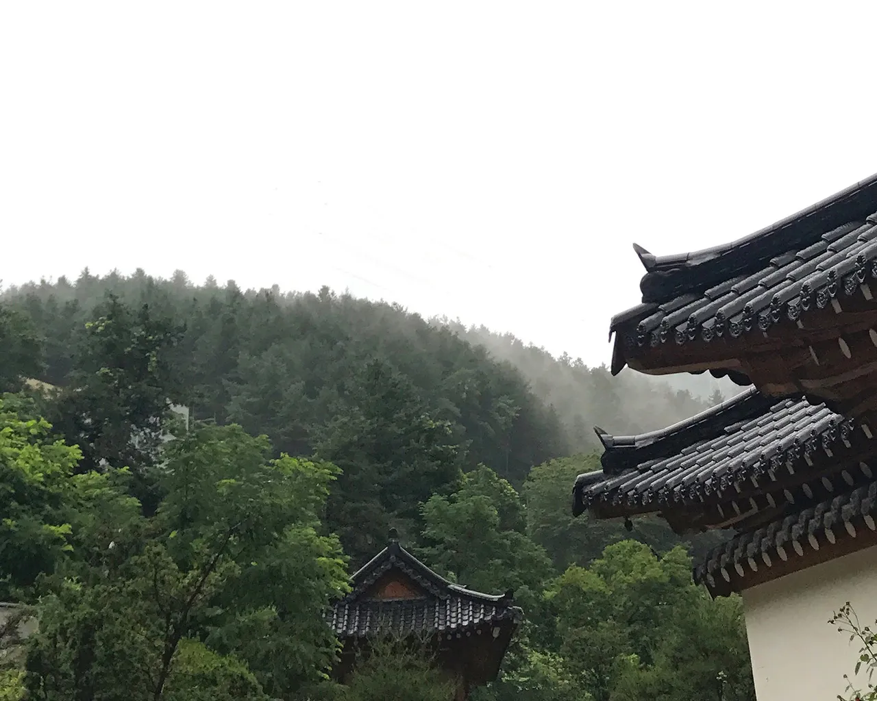 대표 사진
