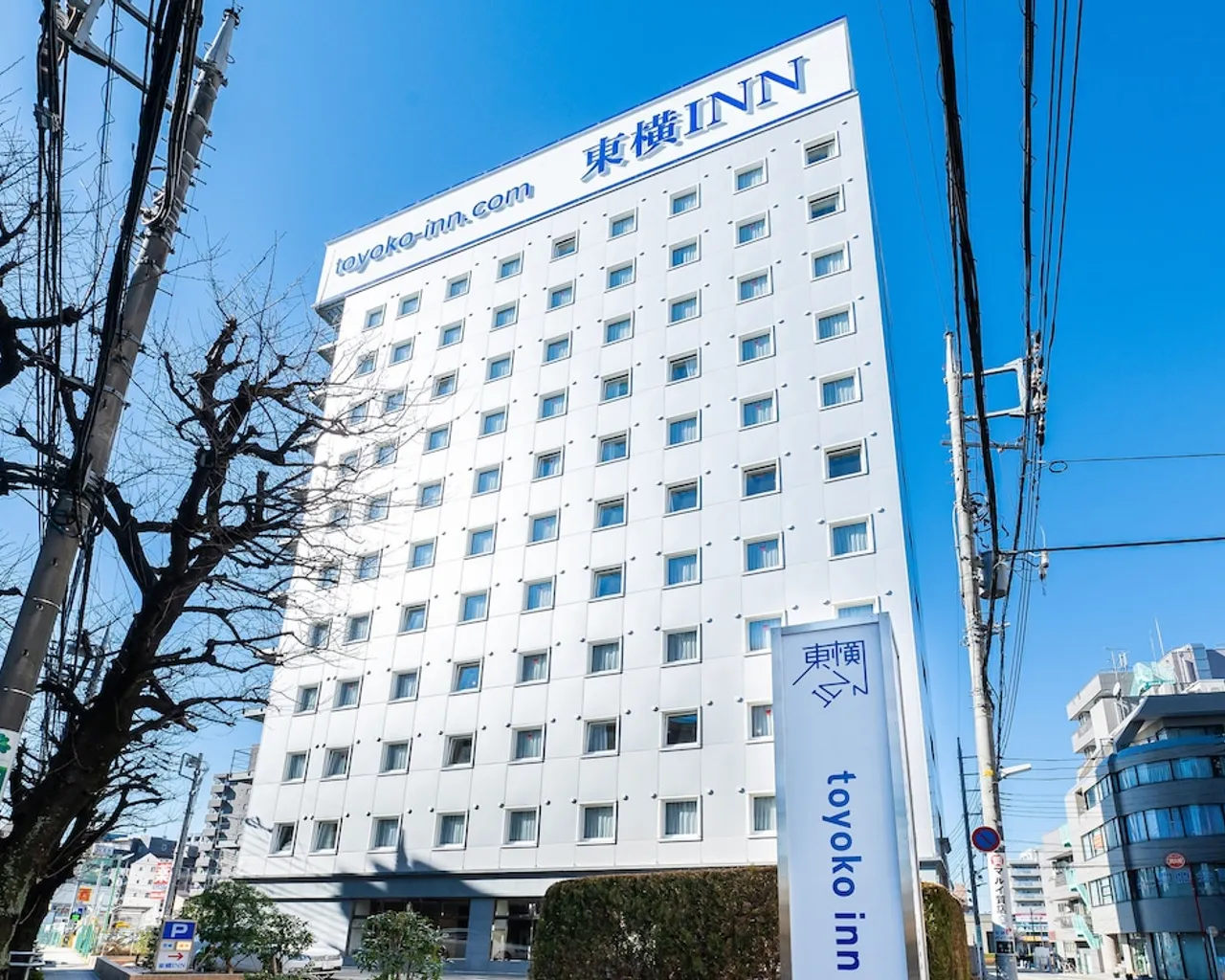 기본 이미지