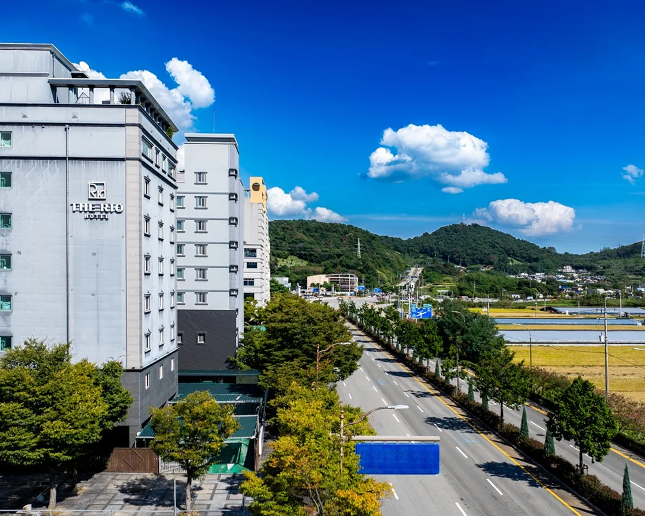 대표 사진