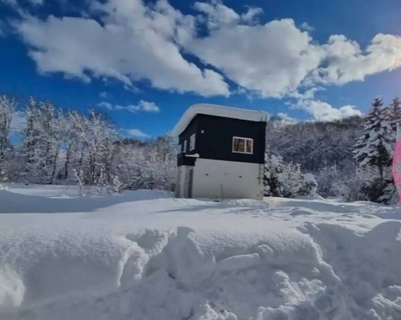 기본 이미지