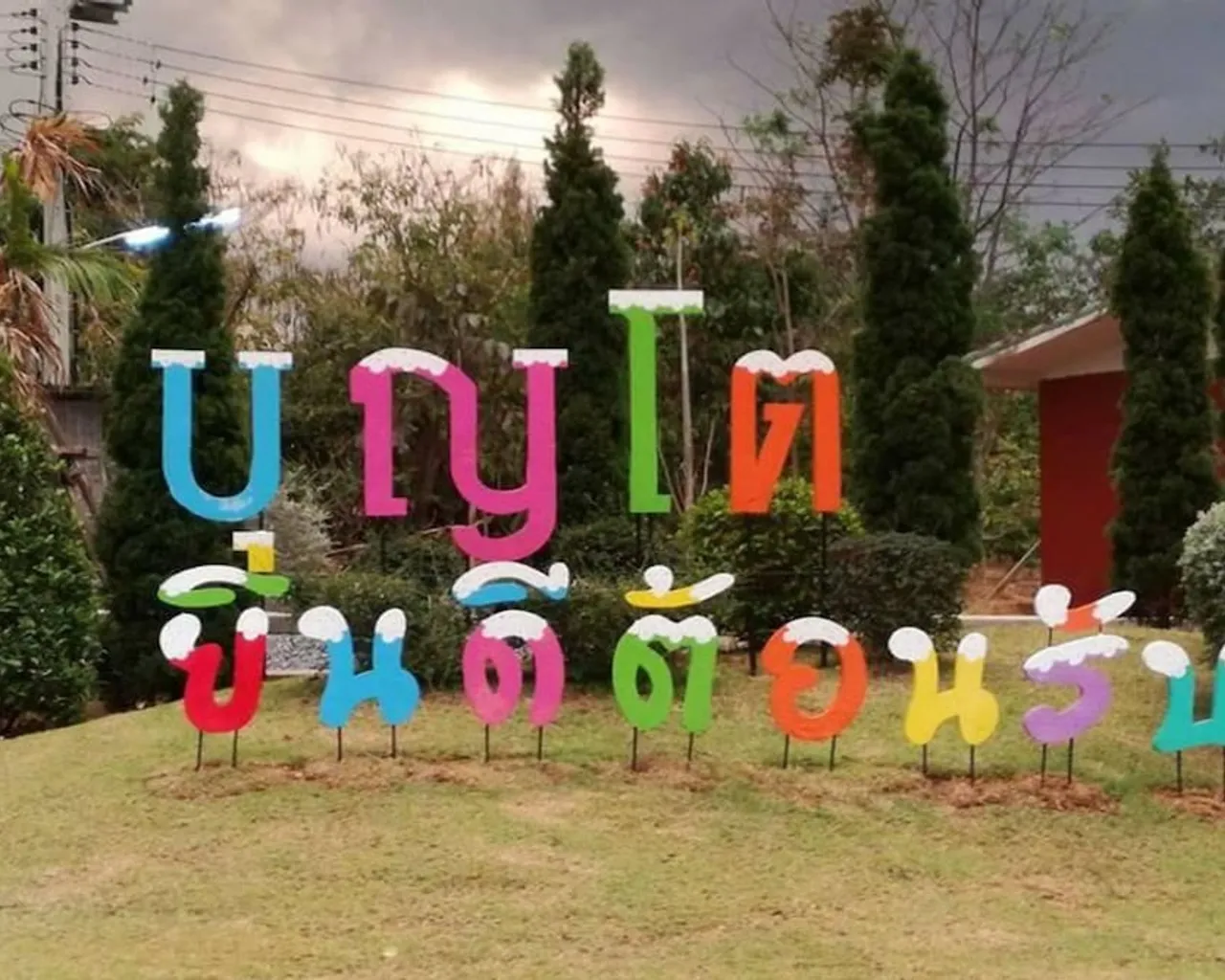 기본 이미지