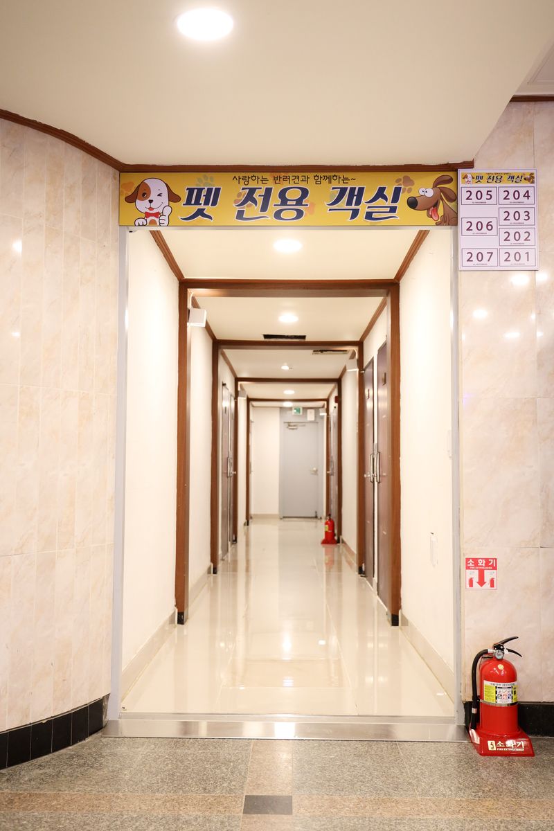 기타