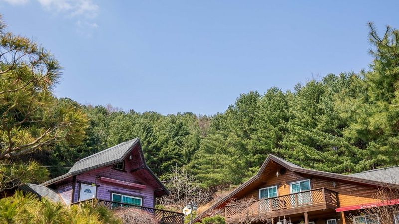 전경