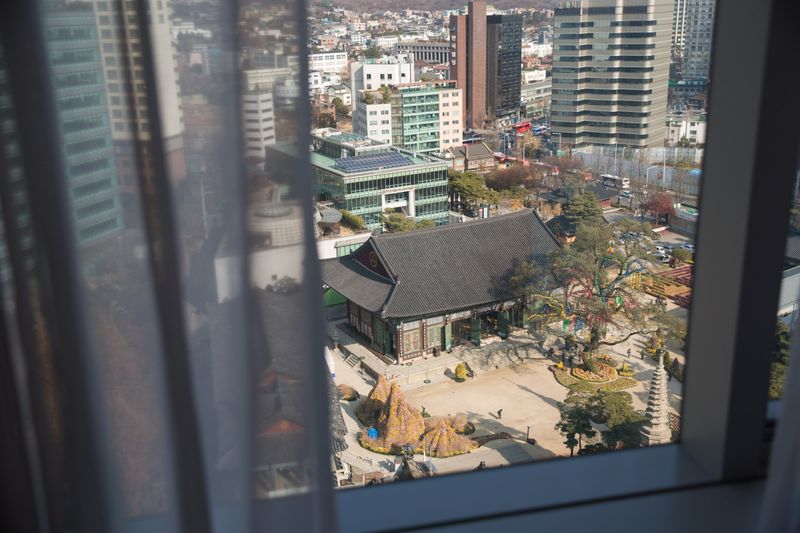 전망