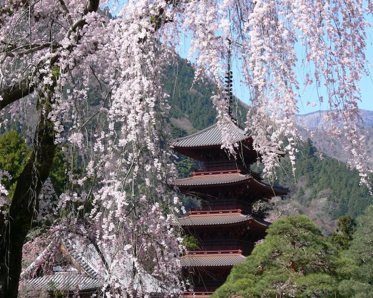 기본 이미지