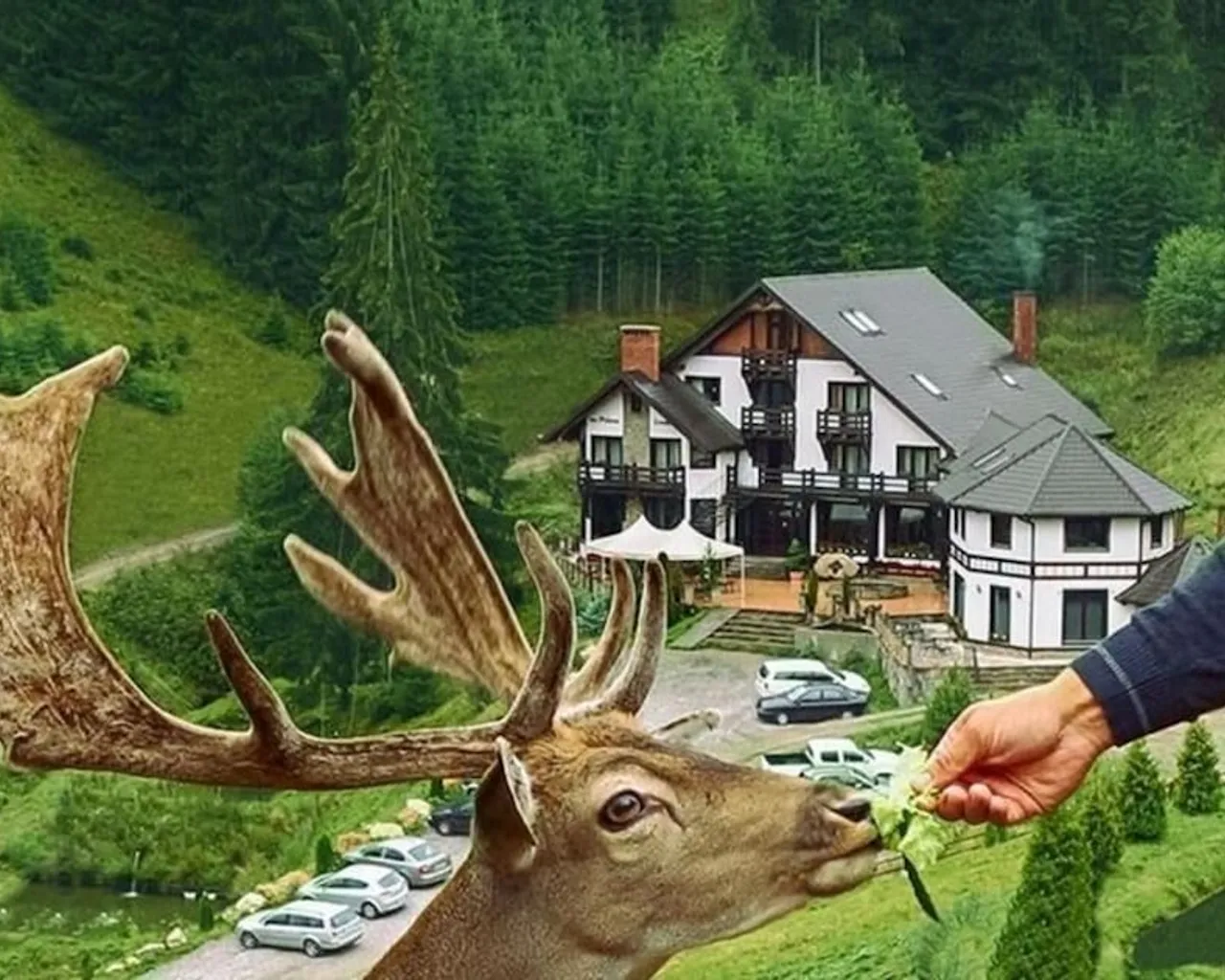 기본 이미지
