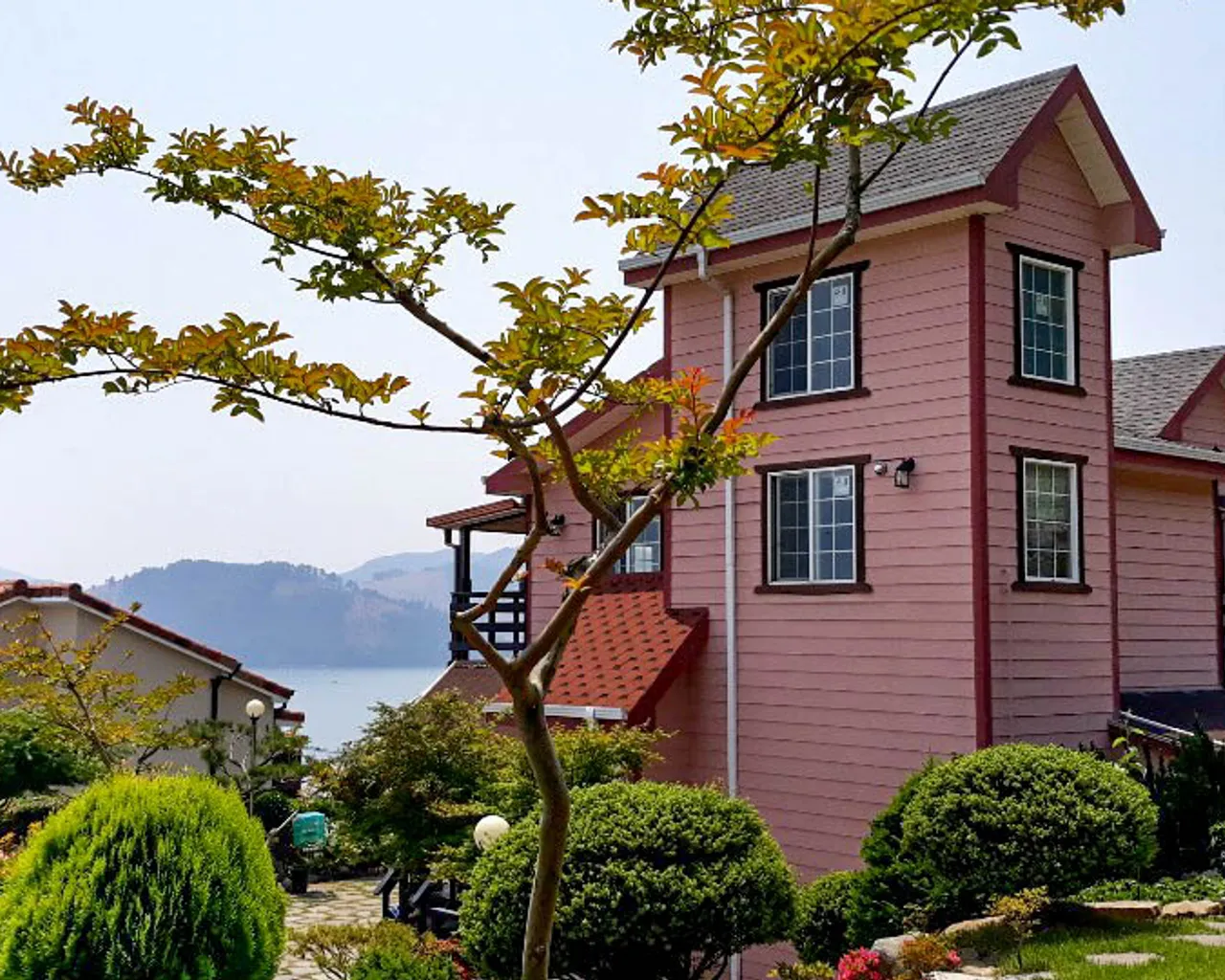 대표 사진