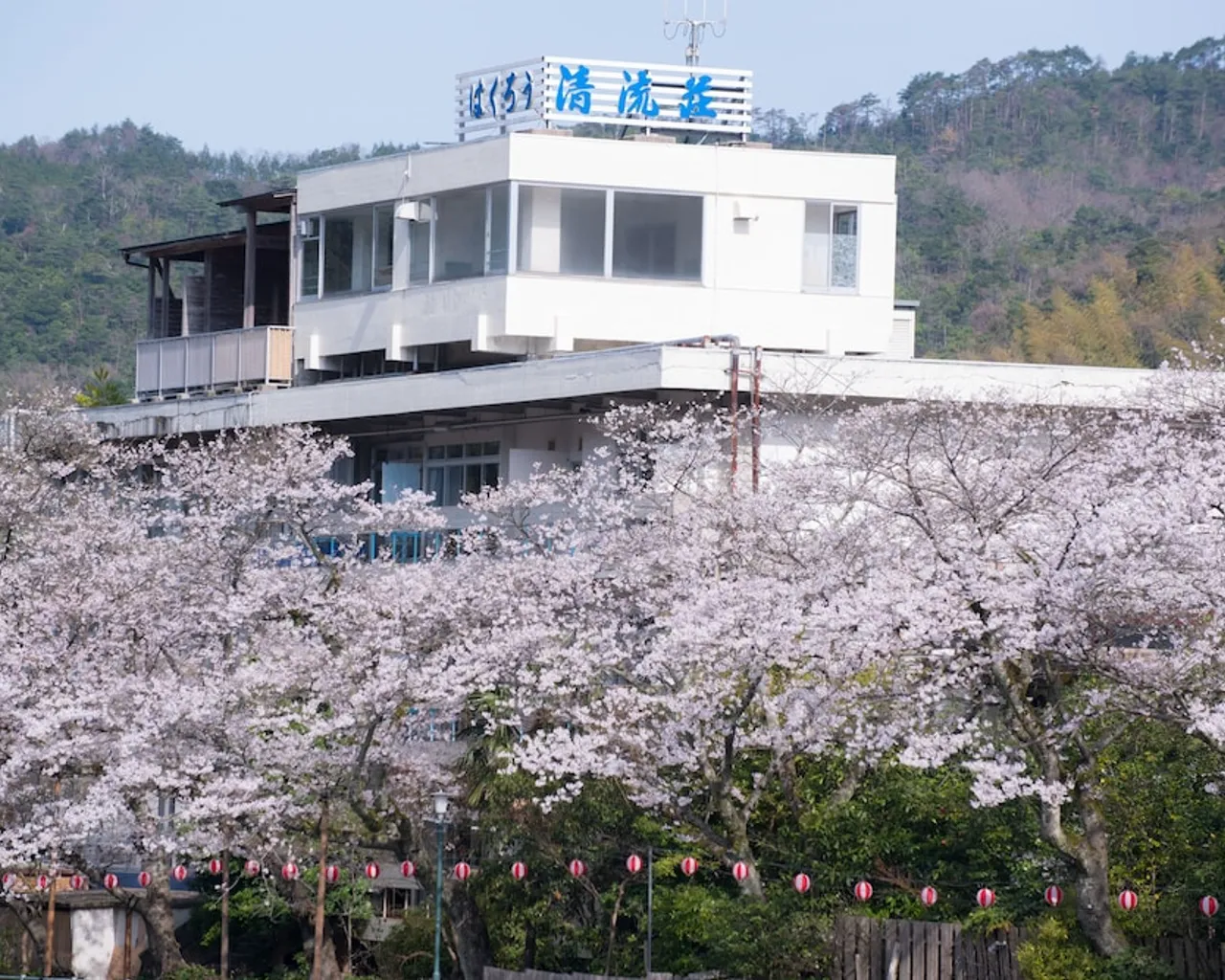 기본 이미지