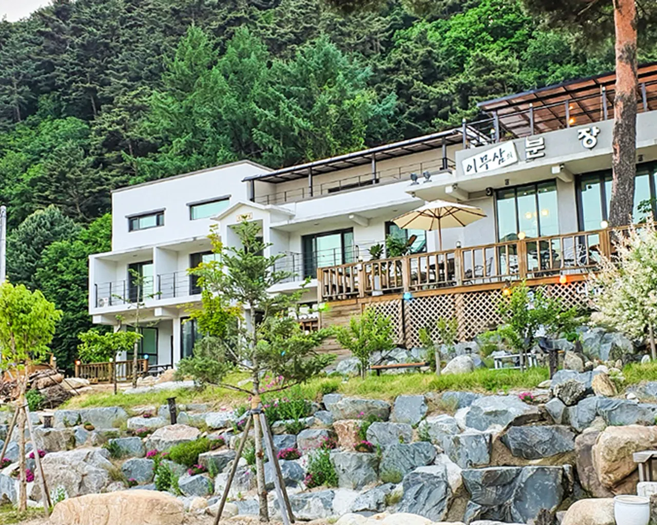 대표 사진