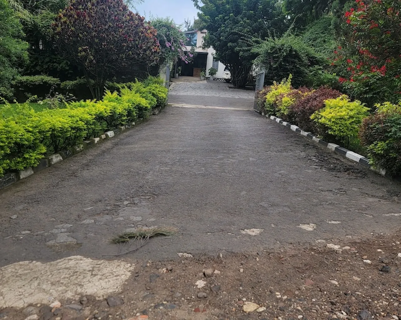 기본 이미지