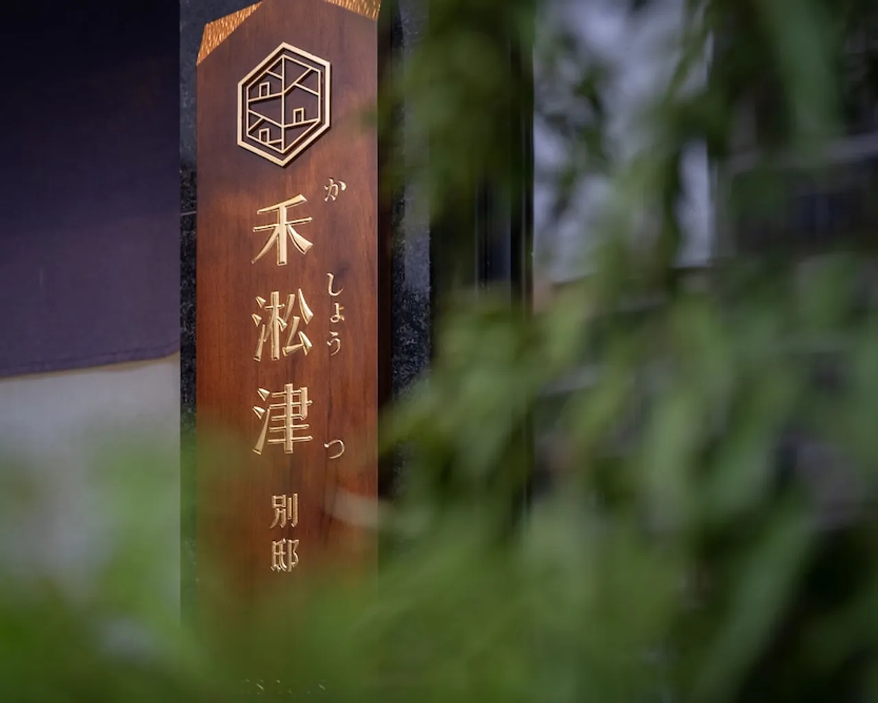 기본 이미지